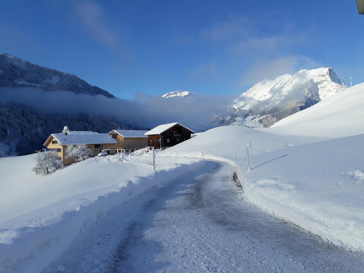 Hotel Haus Erna Schoppernau Esterno foto